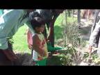 Embedded thumbnail for Pre-Nursery Plant a Sapling
